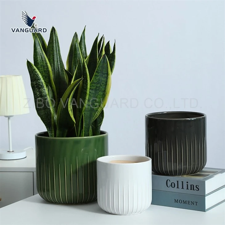 Ceramic Planter For Orchid suppliers